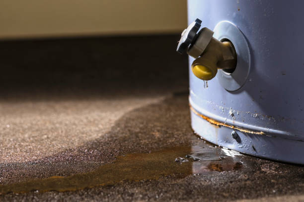  Boles Acres, NM Water damage restoration Pros