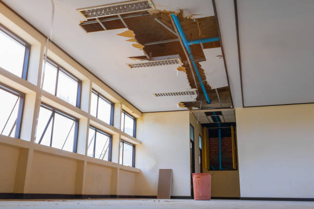 Best Flood damage cleanup  in Boles Acres, NM