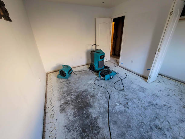 Best Sewage cleanup and water damage restoration  in Boles Acres, NM