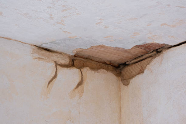 Best Water damage restoration company  in Boles Acres, NM