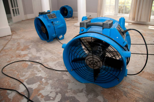 Best Flooded house restoration  in Boles Acres, NM