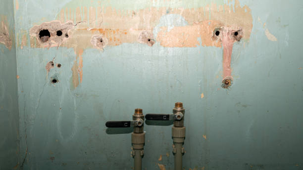 Sewage cleanup and water damage restoration in NM